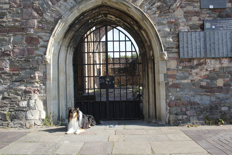 Lucien in Bristol