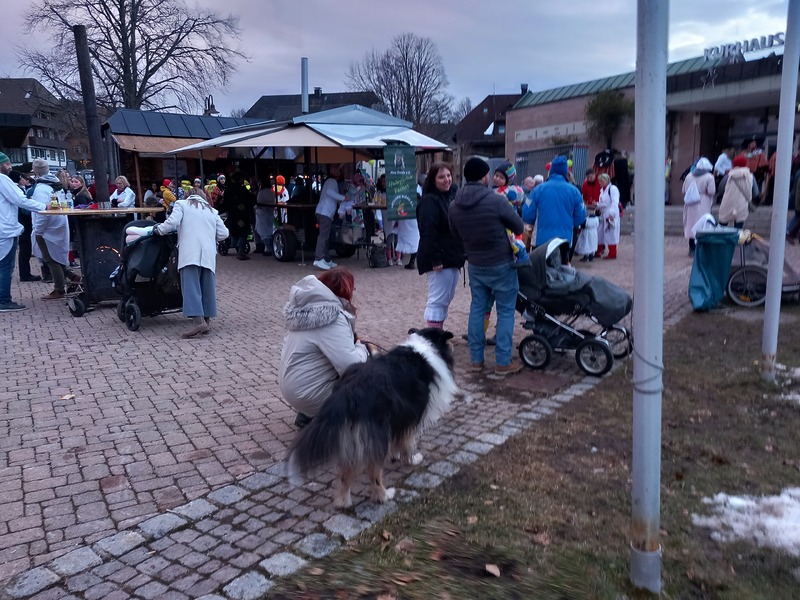 Hinterzarten Narrenbaumstellen