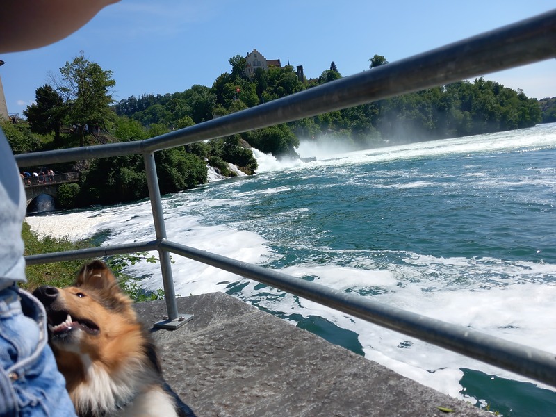 Rheinfall