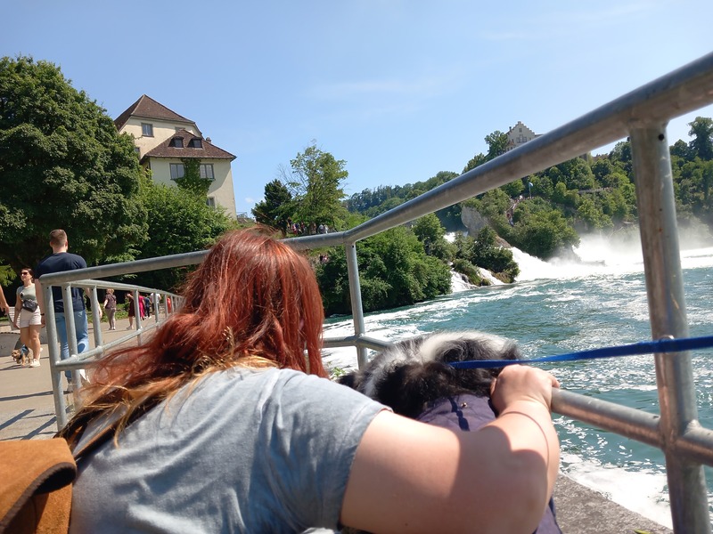 Rheinfall