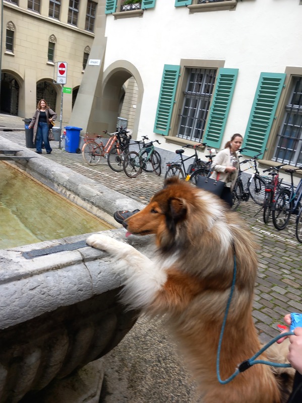 Verbrunnen mit Gavriel