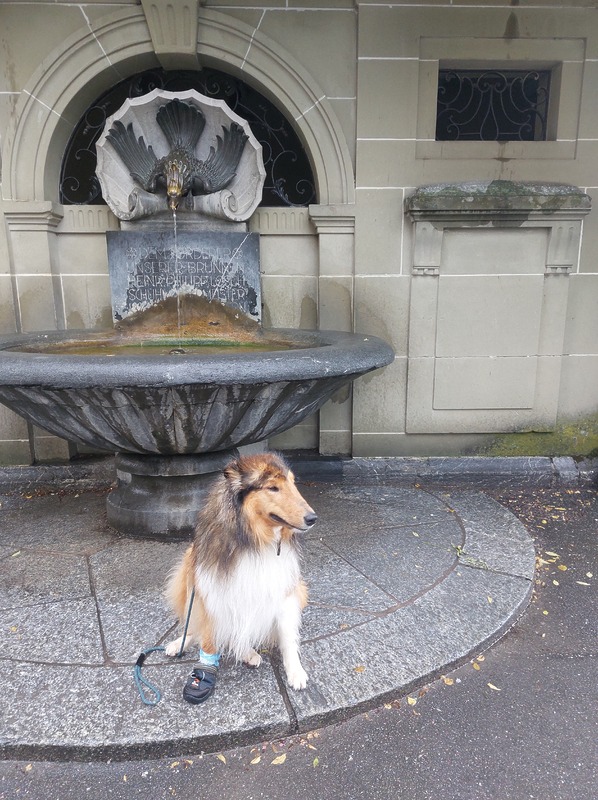 Brunnen mit Vogel und nassem Gavriel