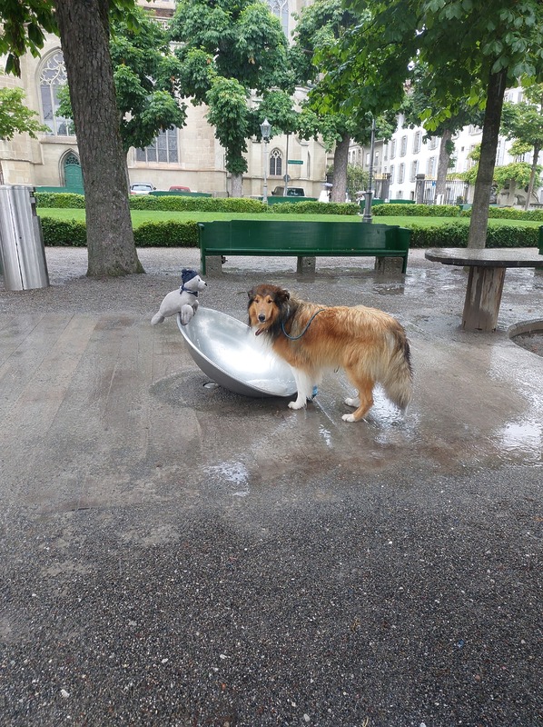 Riesen Wasserschüssel