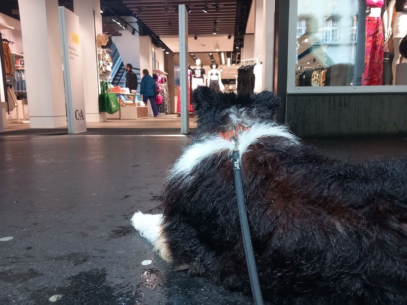 Warten vor dem Hosenladen