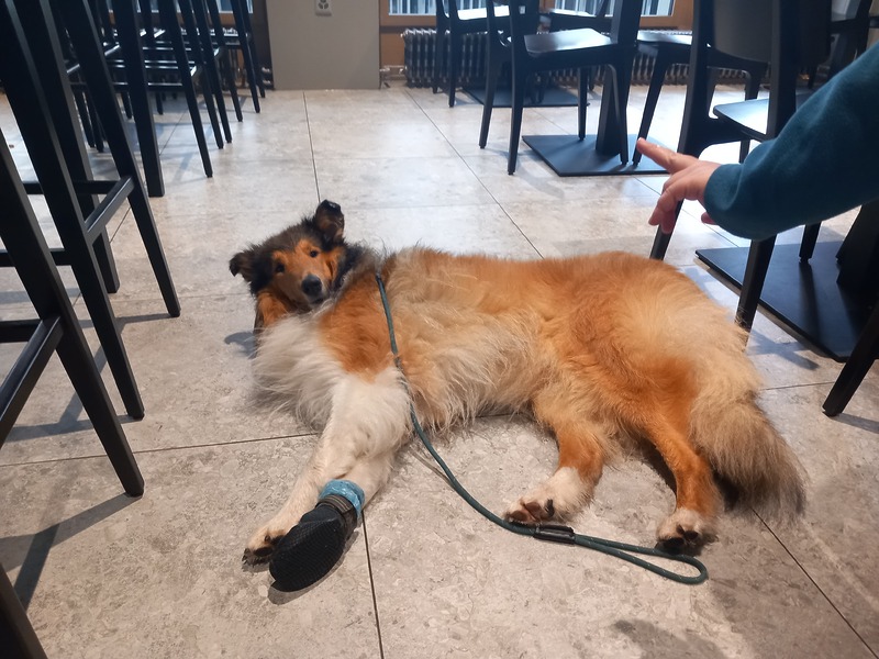Tee im Restorante