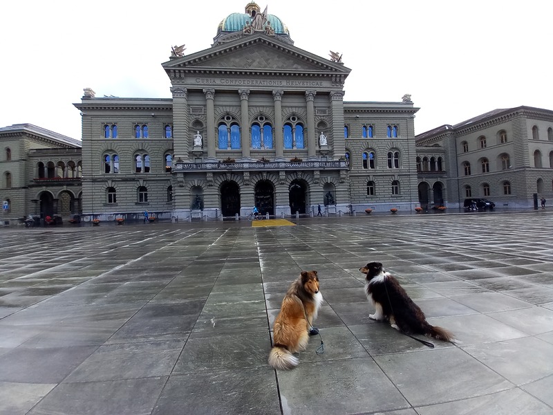 Parlament bewachen in Bern