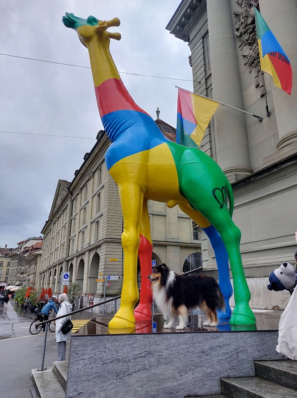 Giraffe Stadtthater Bern