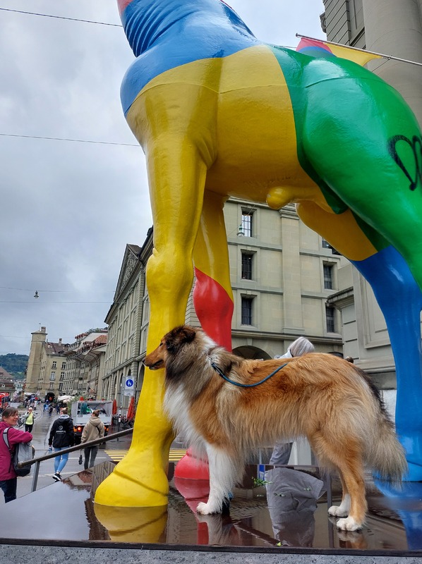Giraffe Stadtthater Bern