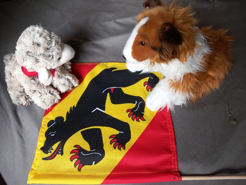 Berner Flagge mit Schäfchen und Plüsch-Collie